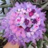LADDU GOPAL FLOWER CLOTH